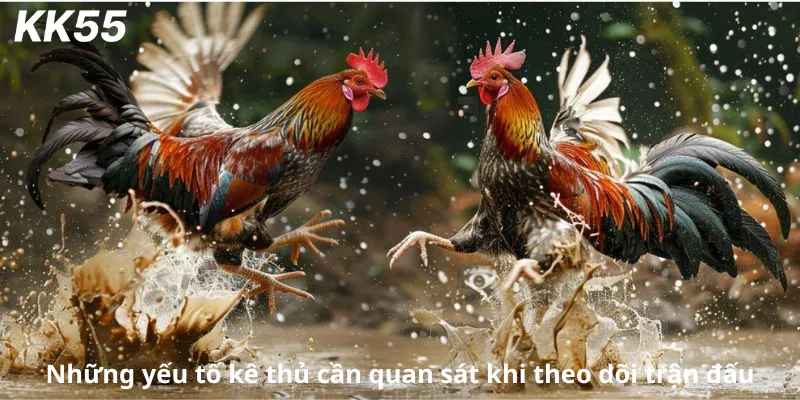 Những yếu tố kê thủ cần quan sát khi theo dõi trận đấu